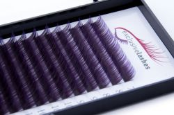 PURPLE OMBRE